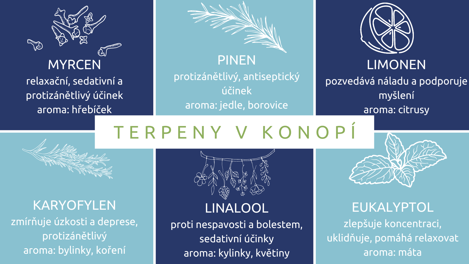 terpeny v konopí 